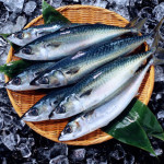 イコサペンタエン酸（EPA）含有精製魚油食品